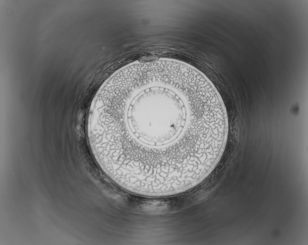 X0000115220319200912091227