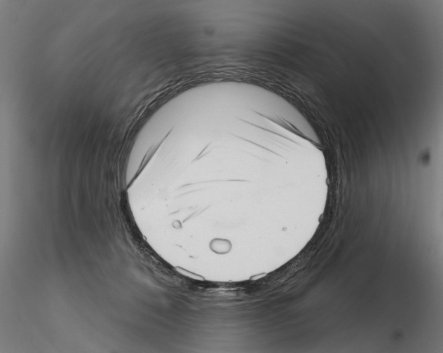 X0000115220320200912091227