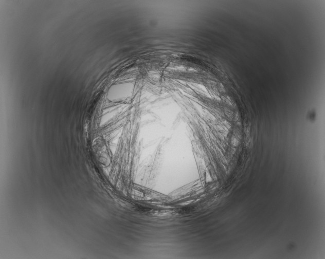 X0000115220321200912091227