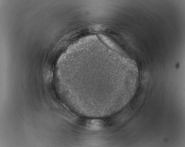 X0000115220324200912091227