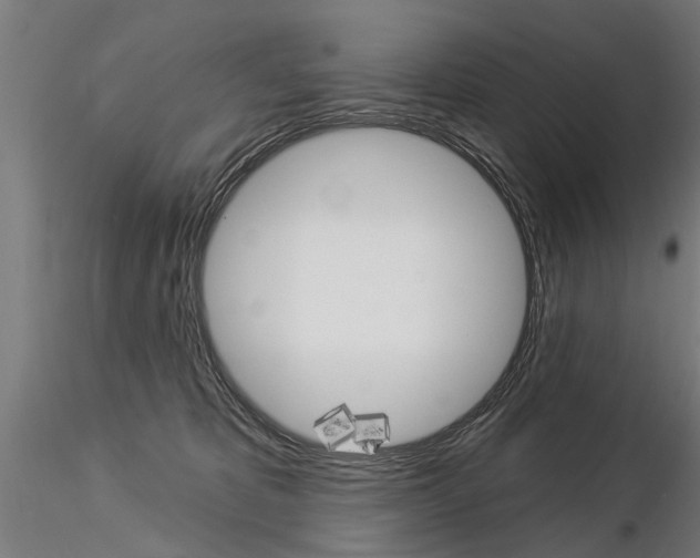 X0000115220325200912091227