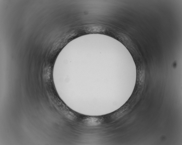 X0000115220326200912091227