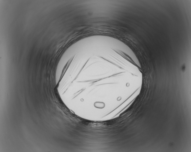 X0000115220327200912091227