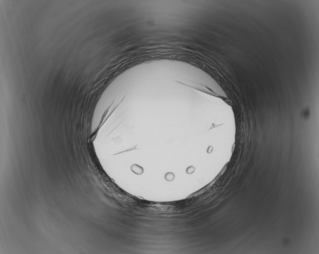 X0000115220328200912091227