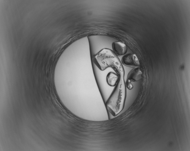 X0000115220329200912091227