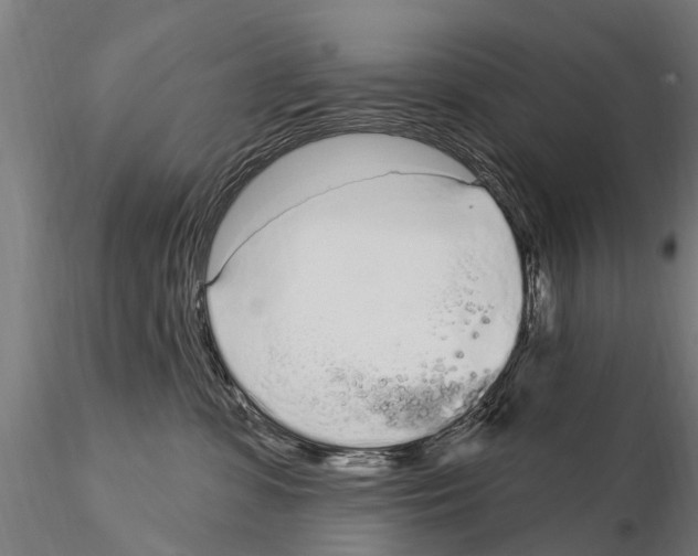 X0000115220331200912091227