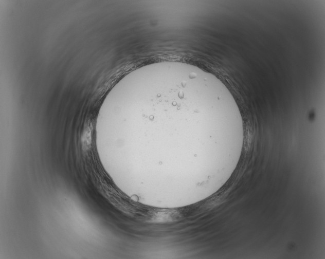 X0000115220334200912091227