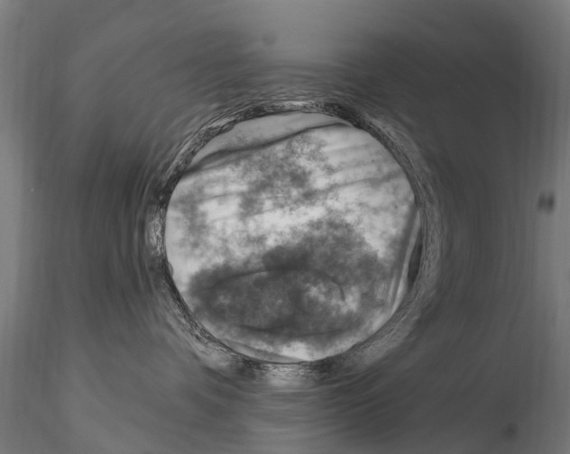 X0000115220336200912091227