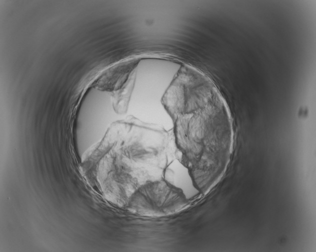 X0000115220337200912091226