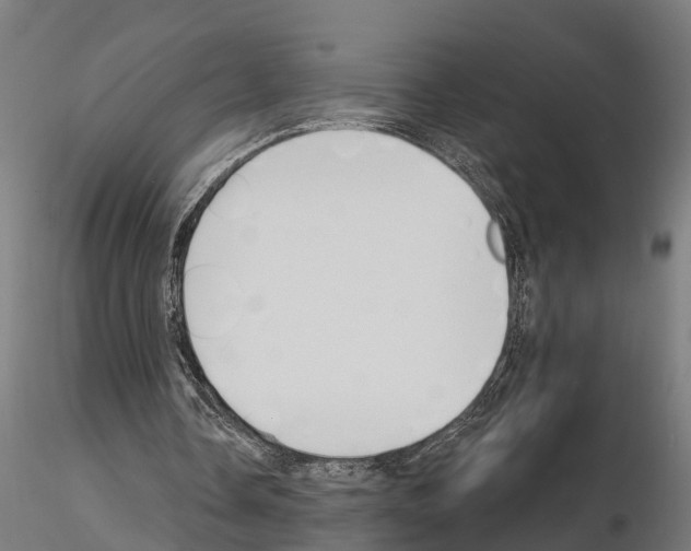 X0000115220338200912091226