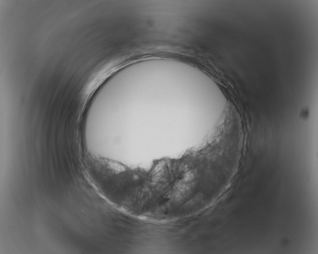 X0000115220341200912091226