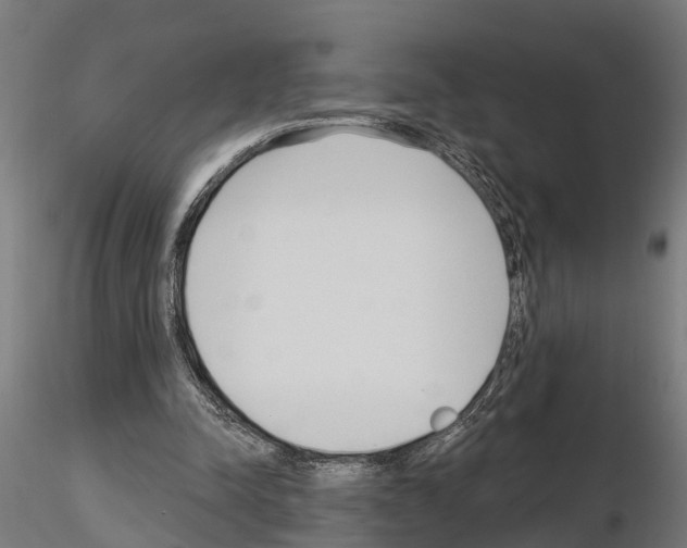 X0000115220342200912091226