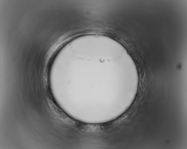 X0000115220343200912091226