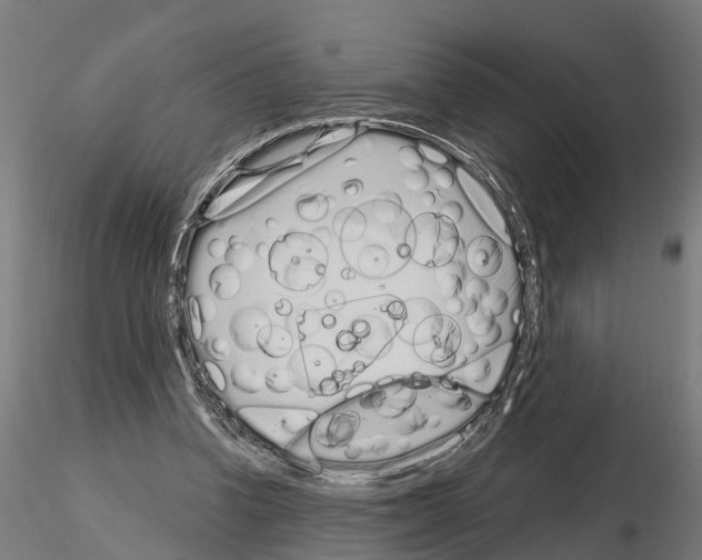 X0000115220346200912091226