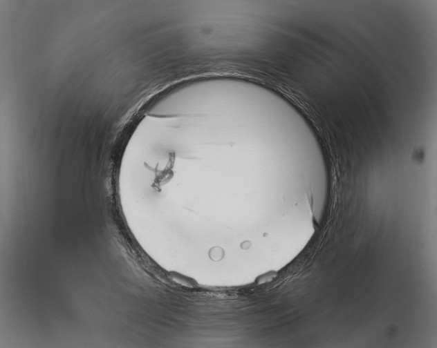 X0000115220347200912091226