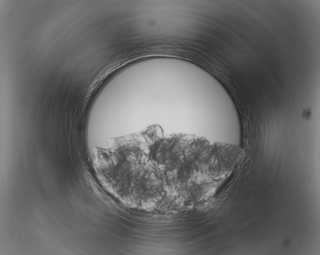 X0000115220349200912091226