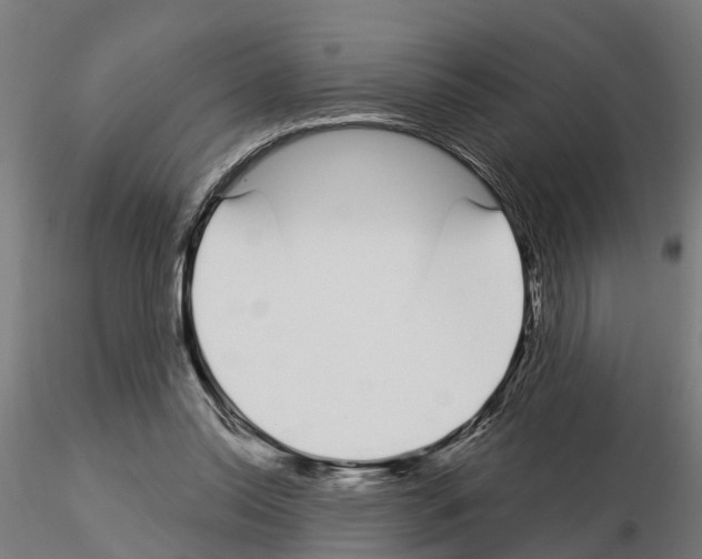 X0000115220350200912091226