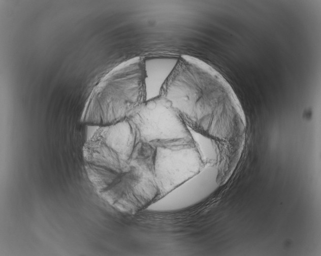 X0000115220353200912091226