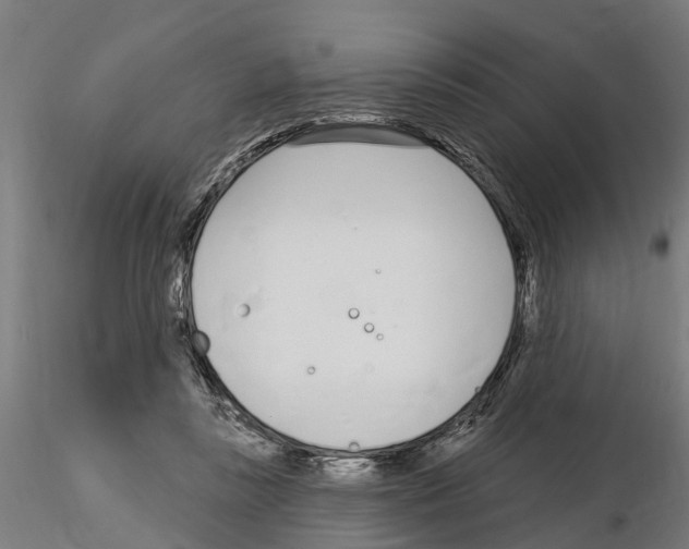 X0000115220355200912091226