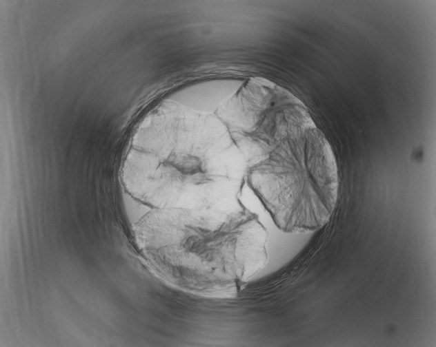 X0000115220357200912091226