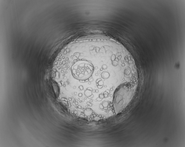 X0000115220359200912091226