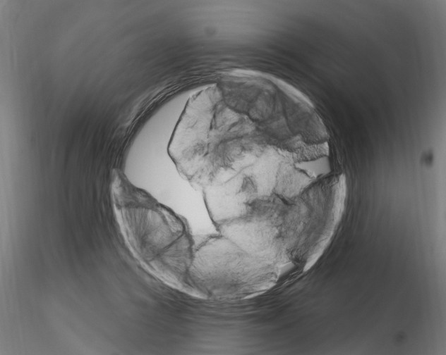 X0000115220361200912091226