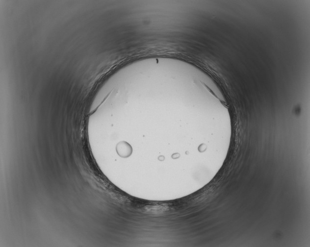 X0000115220362200912091226