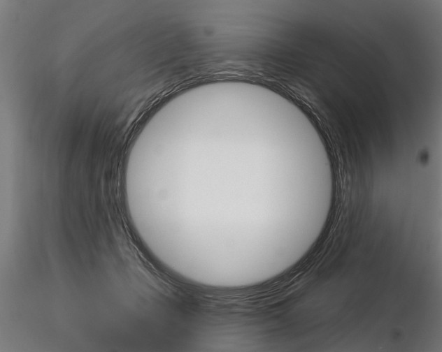 X0000115220365200912091226