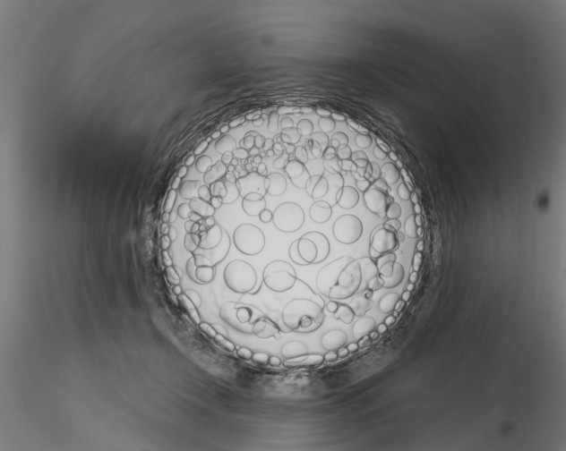 X0000115220366200912091226