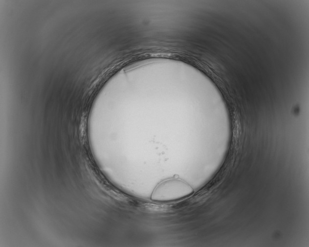 X0000115220367200912091226