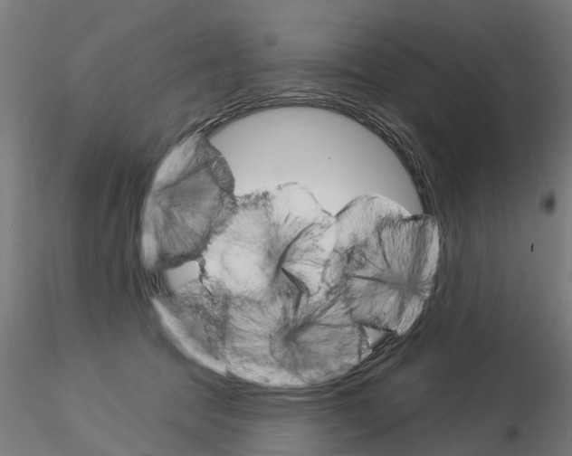 X0000115220369200912091226