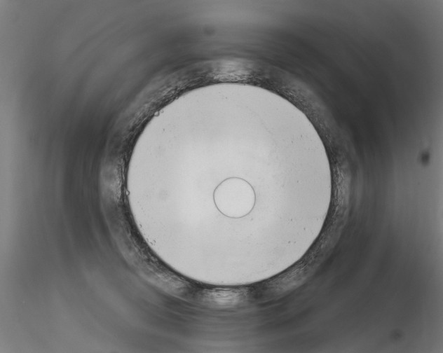 X0000115220370200912091226