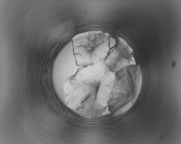 X0000115220373200912091226