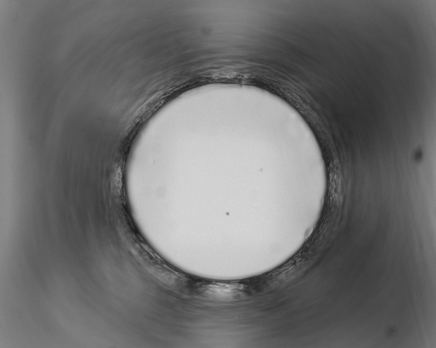 X0000115220375200912091226