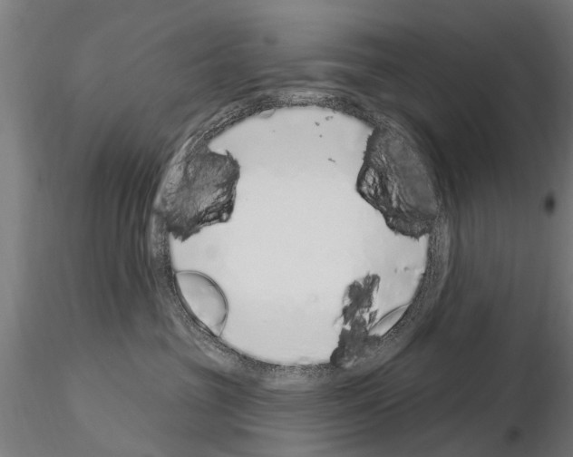 X0000115220381200912091227