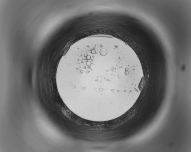 X0000115220382200912091227