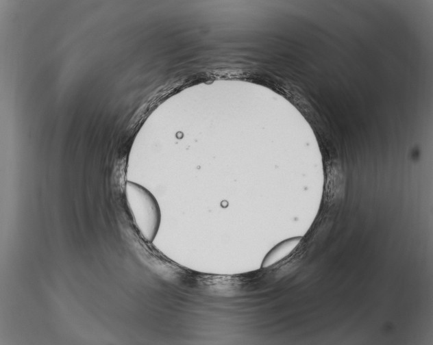 X0000115220383200912091227