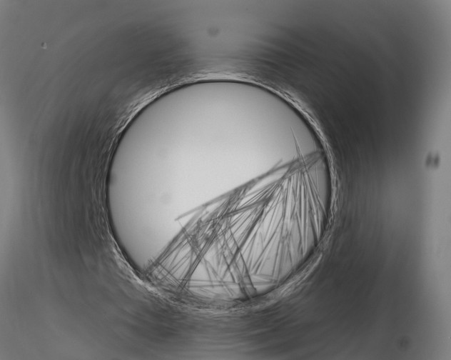 X0000115220385200912091226