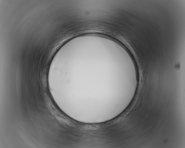 X0000115220386200912091226