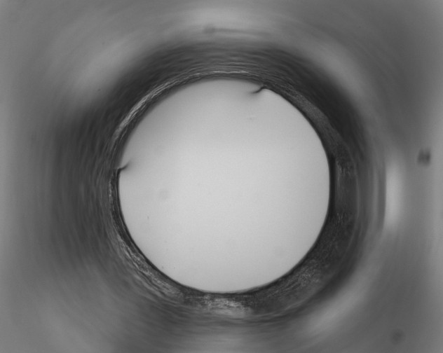 X0000115220387200912091226