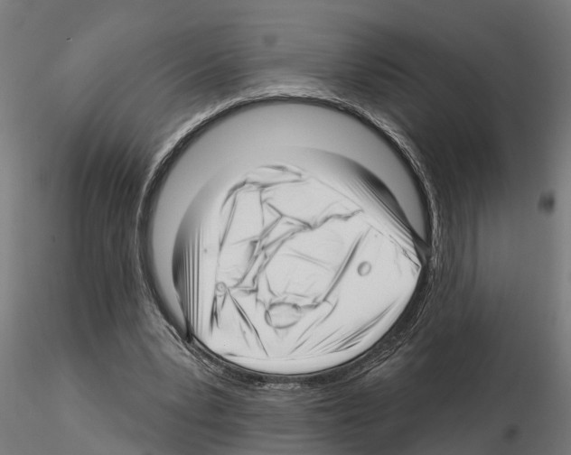 X0000115220391200912091226