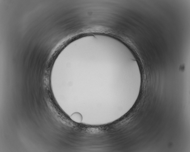 X0000115220392200912091226