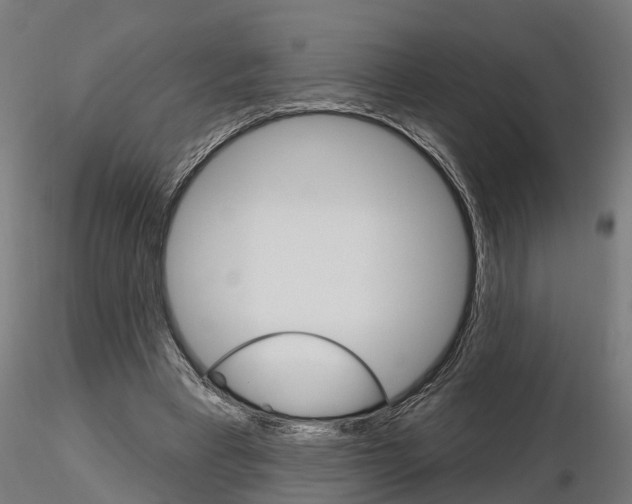 X0000115220393200912091226