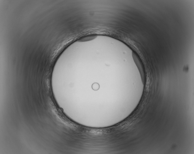 X0000115220394200912091226