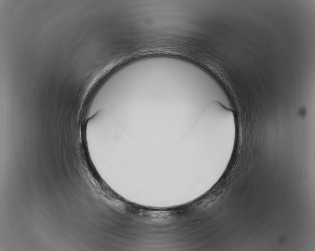 X0000115220395200912091226