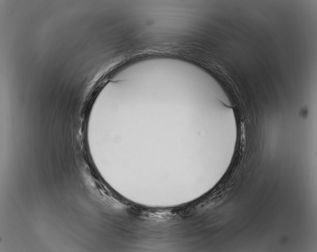 X0000115220396200912091226