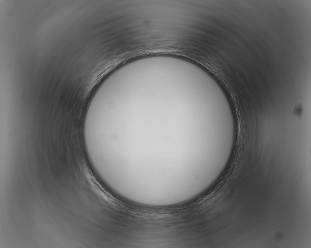 X0000115220397200912091226