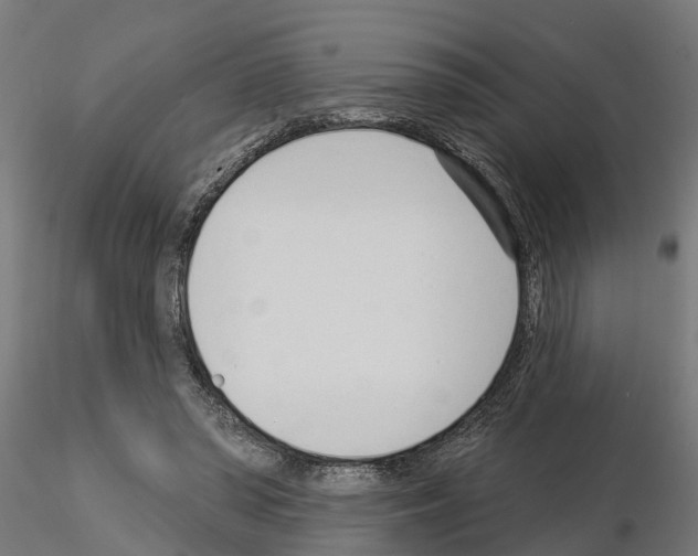 X0000115220398200912091226