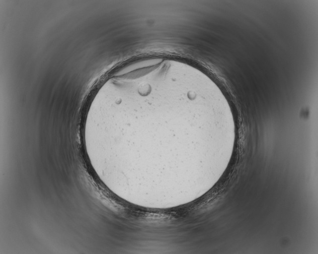 X0000115220399200912091226