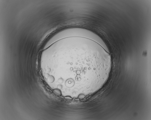 X0000115220400200912091226